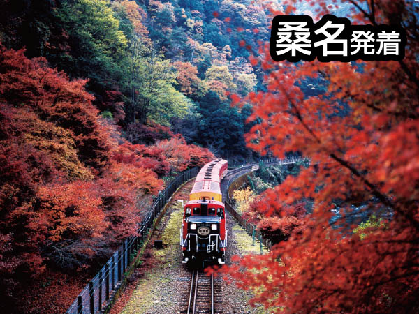 嵯峨野トロッコ列車(2025)