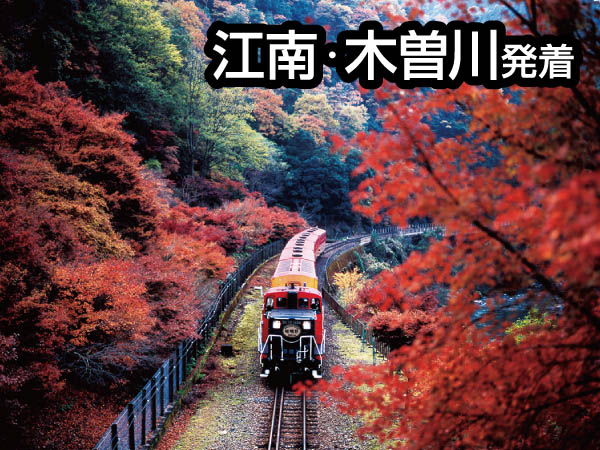 嵯峨野トロッコ列車(2025)
