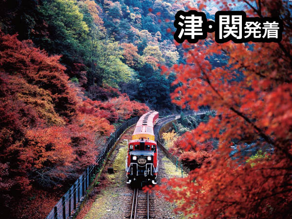 嵯峨野トロッコ列車(2025)