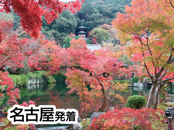 京都南禅寺・永観堂と錦市場(2025)