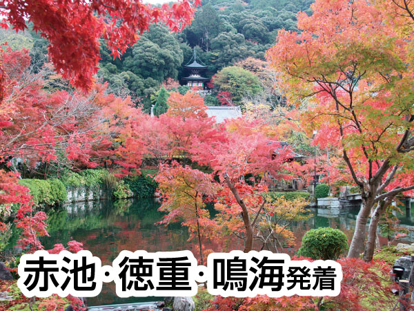 京都南禅寺・永観堂と錦市場(2025)