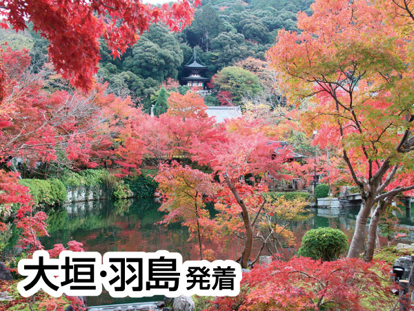 京都南禅寺・永観堂と錦市場(2025)