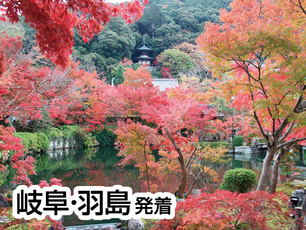 京都南禅寺・永観堂と錦市場(2025)