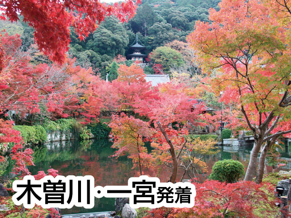 京都南禅寺・永観堂と錦市場(2025)