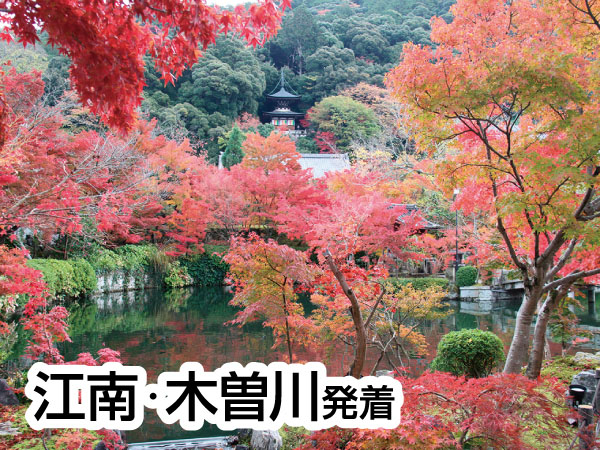 京都南禅寺・永観堂と錦市場(2025)