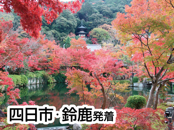 京都南禅寺・永観堂と錦市場(2025)