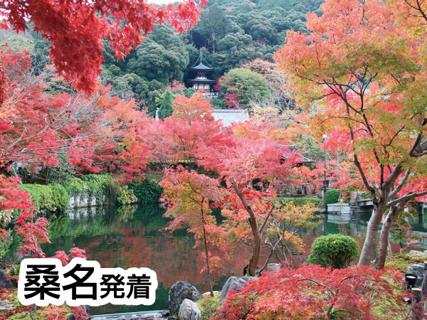 京都南禅寺・永観堂と錦市場(2025)