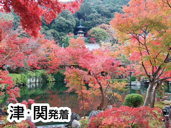 京都南禅寺・永観堂と錦市場(2025)