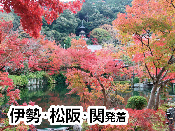 京都南禅寺・永観堂と錦市場(2025)