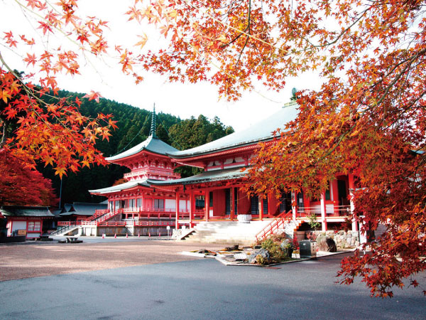 比叡山延暦寺と日吉大社(2025)