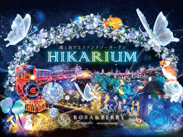 ツアーイメージ
