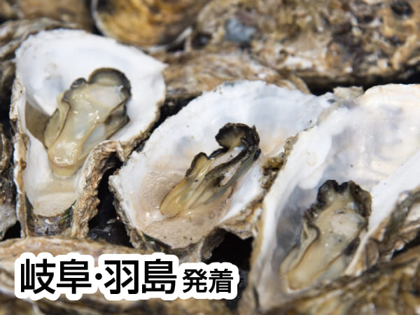 鳥羽浦村焼き牡蠣＆蒸し牡蠣食べ放題(2025)