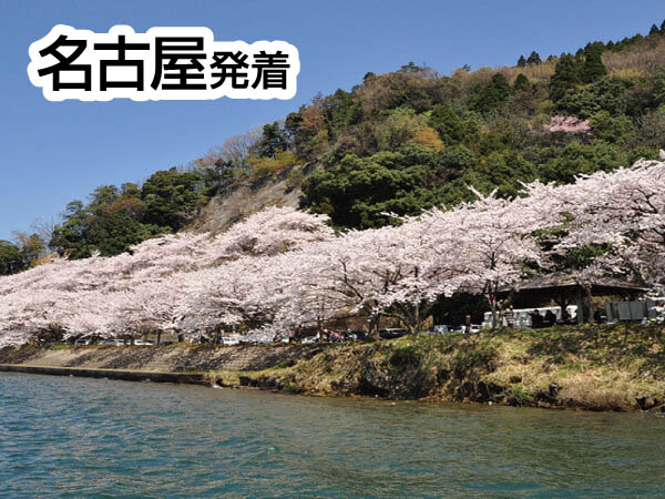 海津大崎お花見クルーズ(2026)