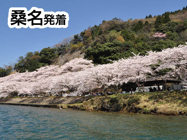 海津大崎お花見クルーズ(2026)
