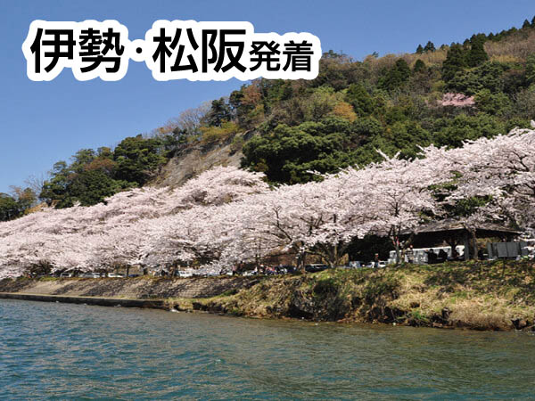 海津大崎お花見クルーズ(2026)