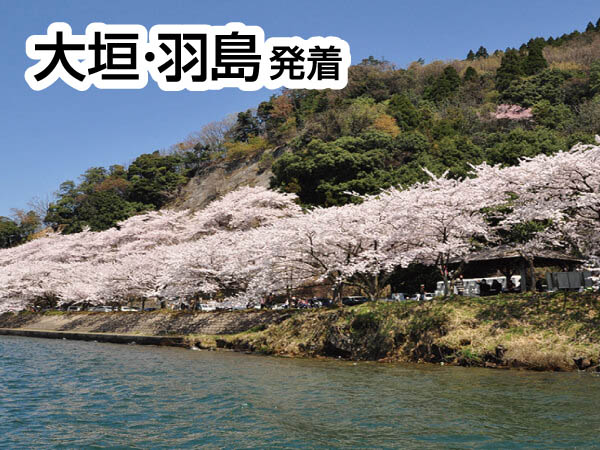 海津大崎お花見クルーズ(2026)