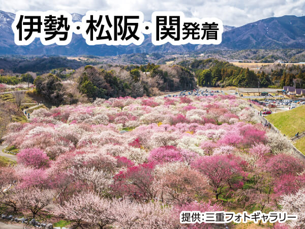 いなべ梅林公園・梅祭り(2026)