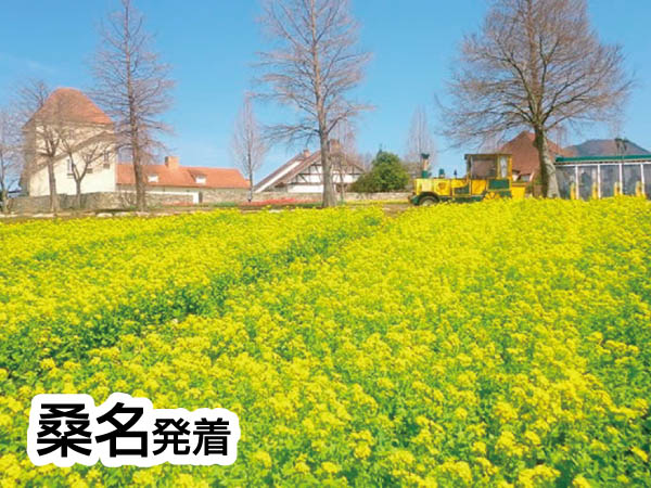 近江八幡水郷めぐり(2026)