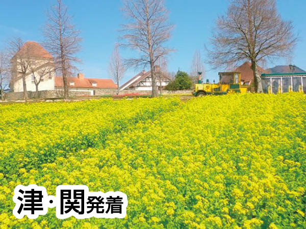 近江八幡水郷めぐり(2026)