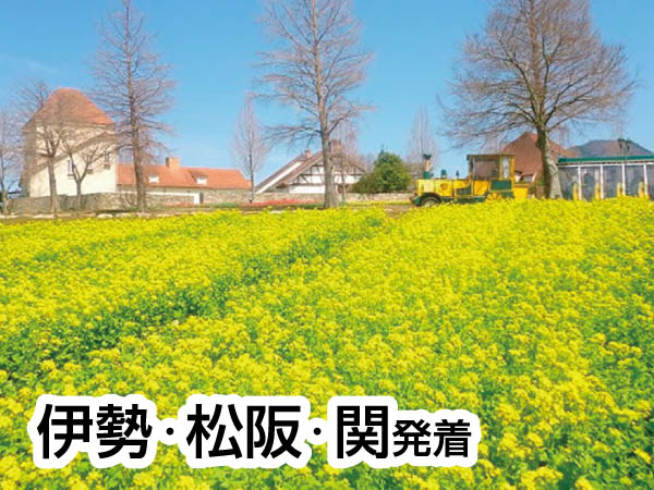 近江八幡水郷めぐり(2026)