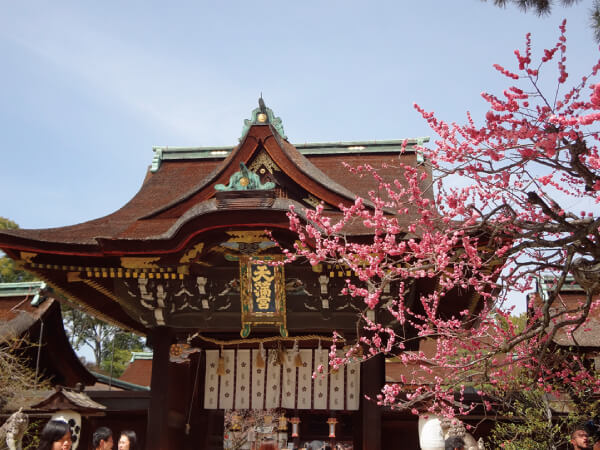 京都春の花めぐり(2026)