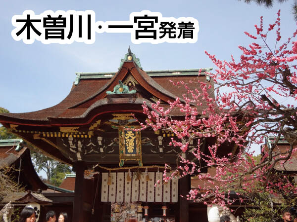京都春の花めぐり(2026)
