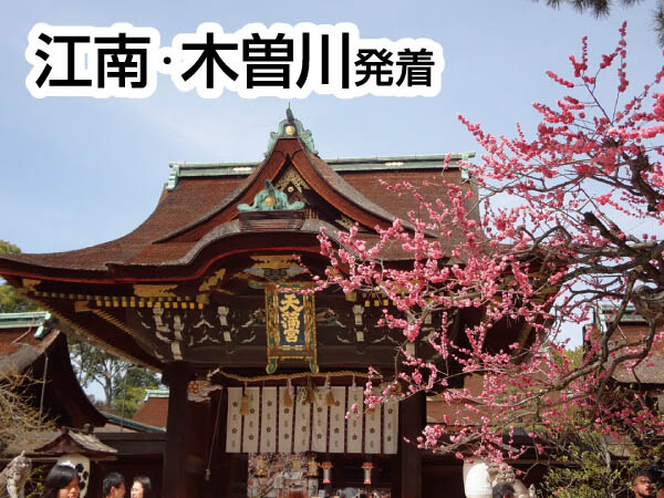 京都春の花めぐり(2026)