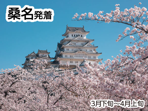 世界遺産 姫路城(2026)