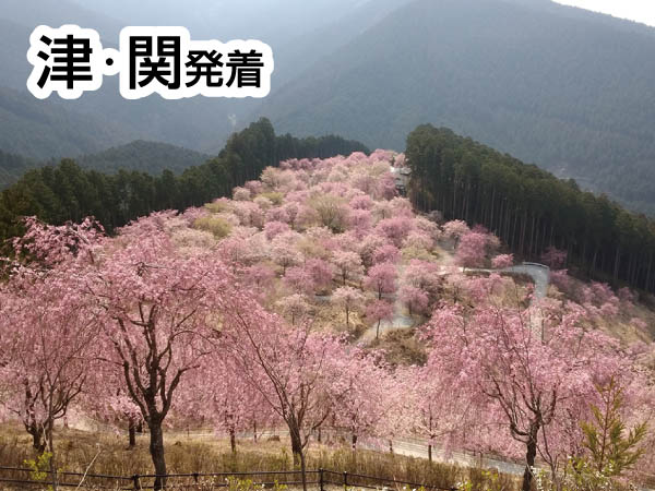 高見の郷と旧小学校の学校給食(2026)