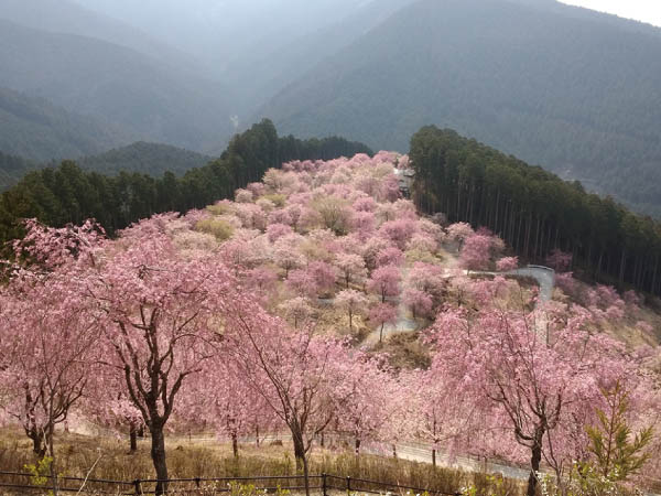 ツアーイメージ