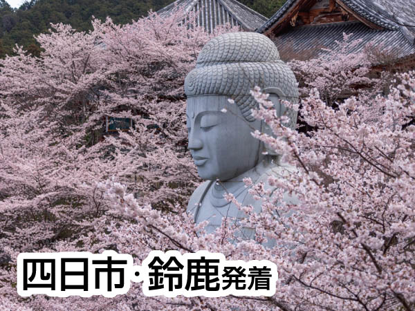 桜大仏・壷阪寺とあすか石舞台古墳(2026)