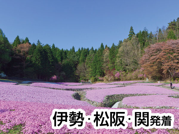 芝桜・花のじゅうたん(2026)