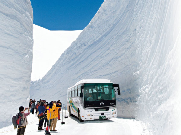 立山・雪の大谷ウォーク(2026)