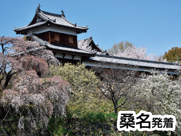 大和郡山 大河ドラマ館と薬師寺(2026)