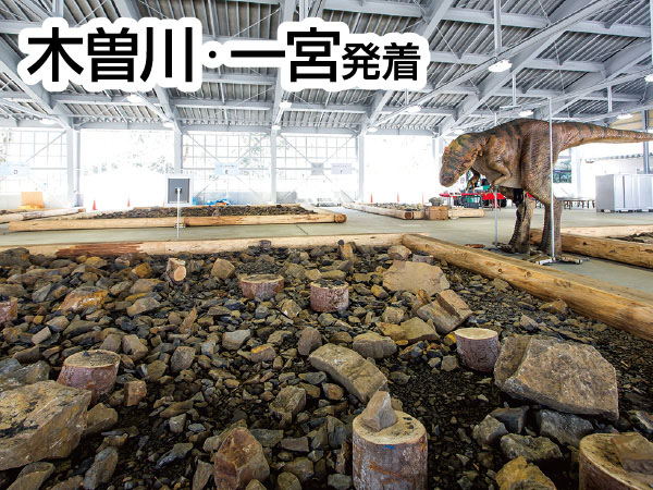 福井県立恐竜博物館と化石発掘体験(2026)