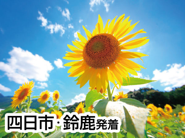 丹波 神戸牛＆うなぎ＆あわびランチ(2026)