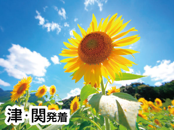 丹波 神戸牛＆うなぎ＆あわびランチ(2026)