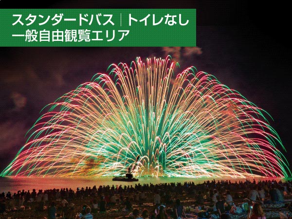 熊野大花火大会【Ａ】