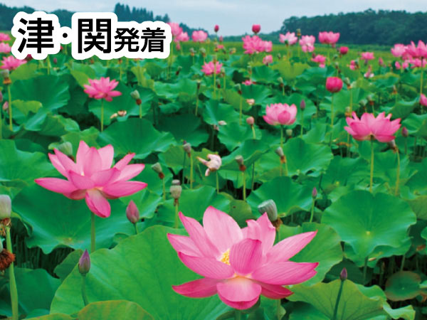 愛西・HASUパークとおちょぼ稲荷(2026)