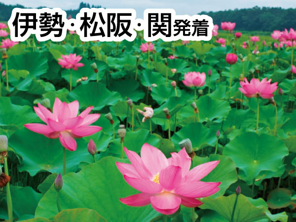 愛西・HASUパークとおちょぼ稲荷(2026)
