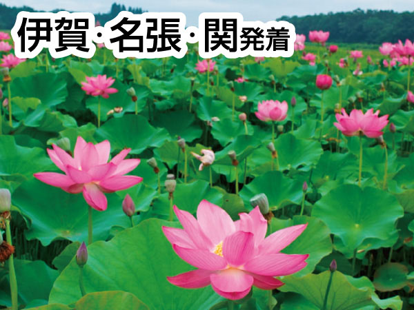愛西・HASUパークとおちょぼ稲荷(2026)