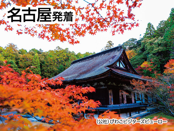 湖東三山 紅葉三大寺院めぐり(2026)