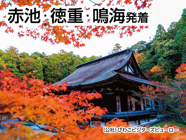 湖東三山 紅葉三大寺院めぐり(2026)