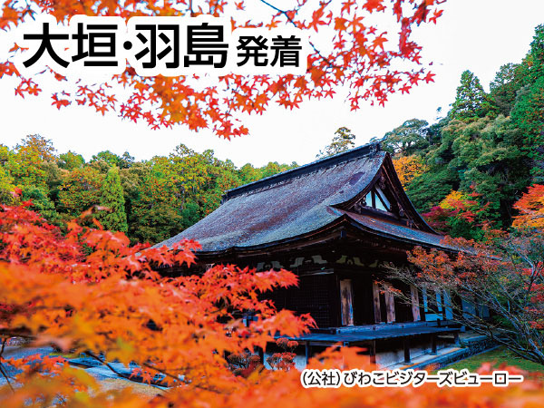湖東三山 紅葉三大寺院めぐり(2026)