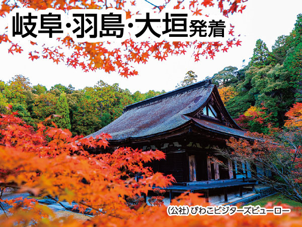 湖東三山 紅葉三大寺院めぐり(2026)