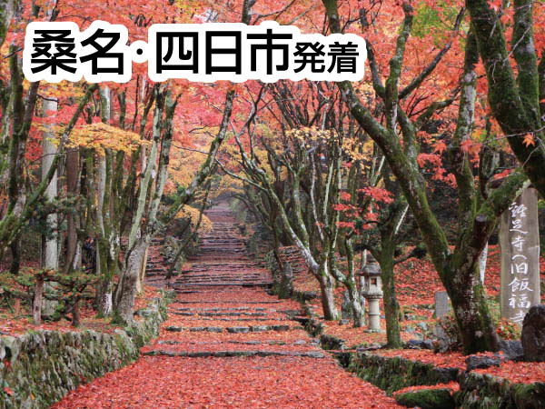 紅葉の鶏足寺(2026)