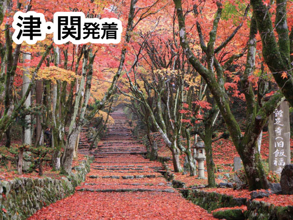 紅葉の鶏足寺(2026)
