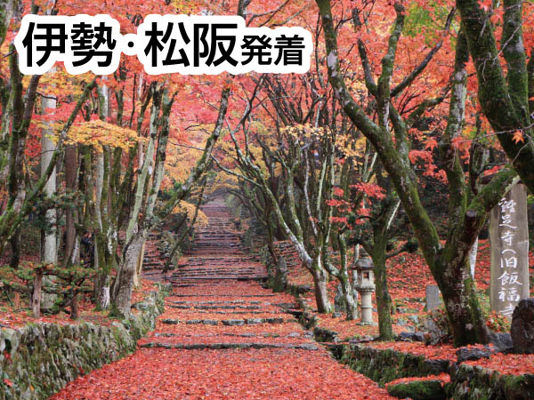 紅葉の鶏足寺(2026)