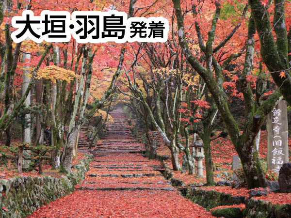 紅葉の鶏足寺(2026)