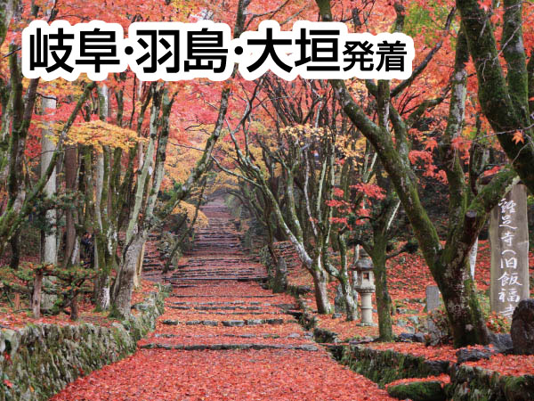 紅葉の鶏足寺(2026)